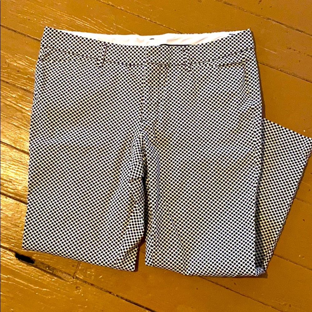 Patterned STYLUS Chino Ankle Pant sz. 14